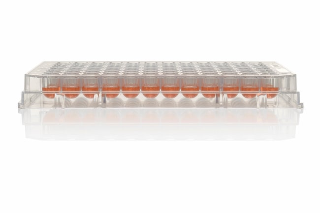 Thermo Scientific Nunc 96-Well Mikrotite